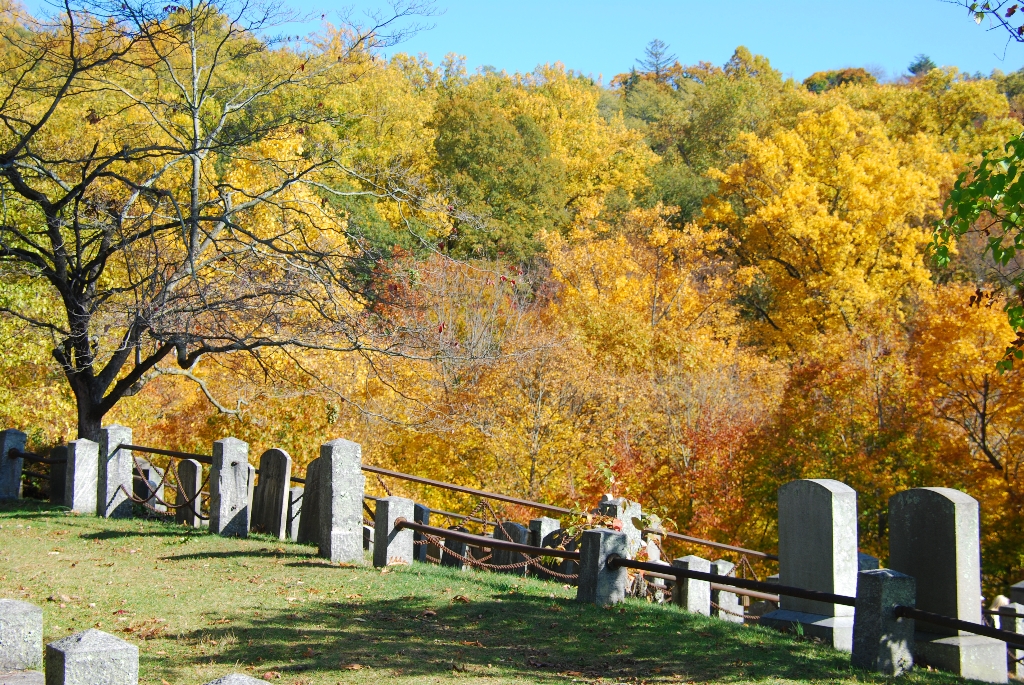 DSC_4602.JPG